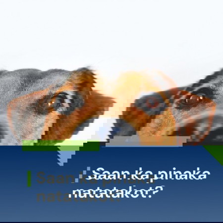 #GoAnonymous