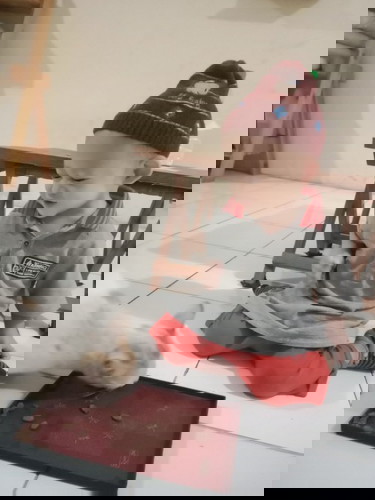 Usia yang tepat untuk belajar berbicara