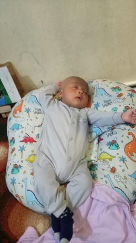 Daging dan sumber protein