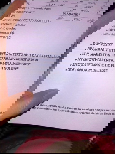 Adequate Amniotic Fluid Volume .