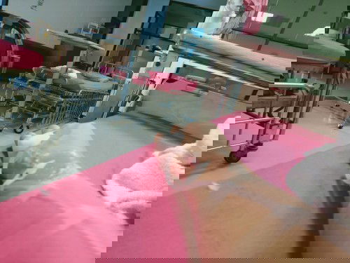 ติดเชื้อทางเดินปัสสวะ