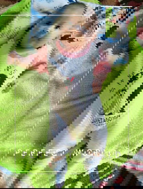 Bayi umur 2 bln kembung karna kemakai pempers