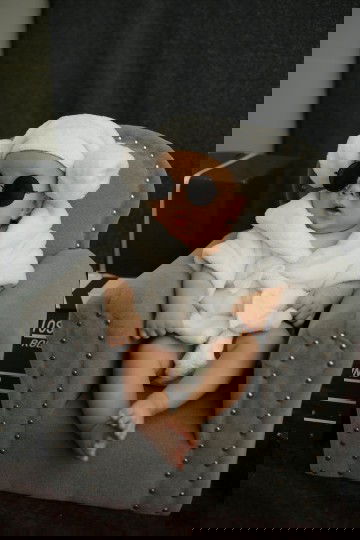 ♥️♥️ đại ca nhà em
6tháng18 ngày