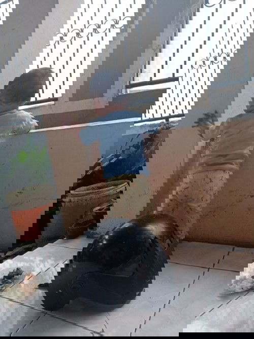 Belum bisa berdiri tanpa berpegangan