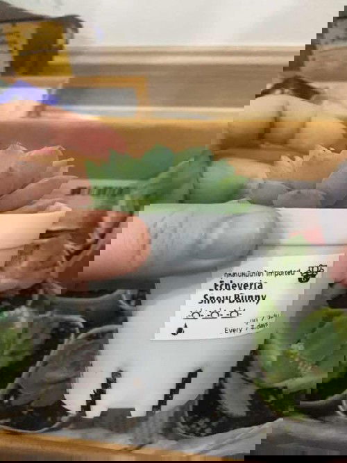 อาการแปลกๆของคนท้อง