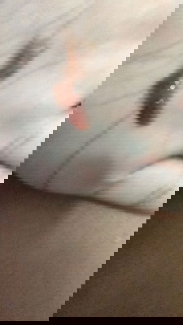 แบบนี้ คืออะไรค่ะ?