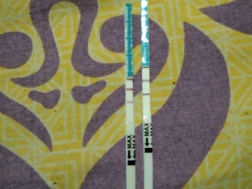 Tespeck selalu postifi