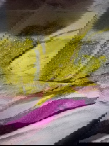 8-6 mag poops, dumede 10x a day