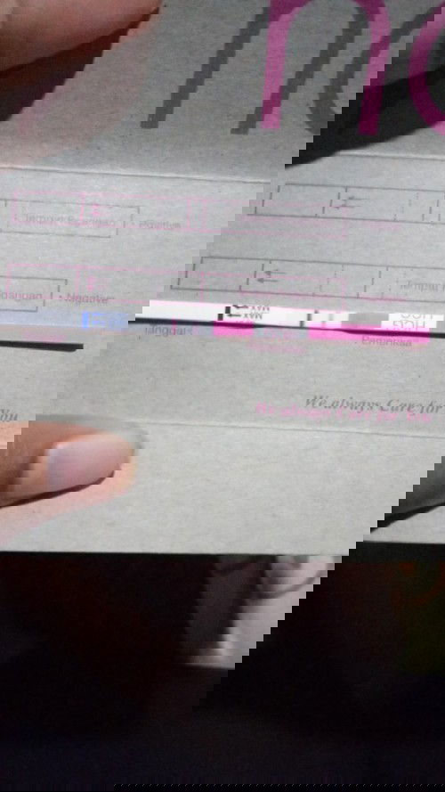 𝔹𝕖𝕣𝕓𝕒𝕘𝕚 𝕡𝕖𝕟𝕘𝕒𝕝𝕒𝕞𝕒𝕟