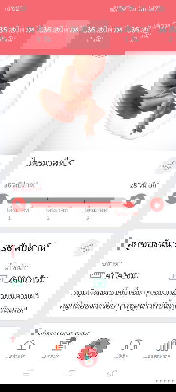 36 วีค แล้ว ใกล้จะได้เจอกันแล้วอีกนิดเดียวเอง