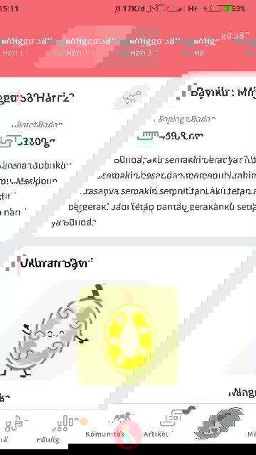 Hamil.hpl.ingin cepet gendong dde