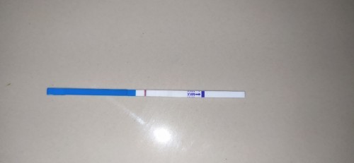 Maaf mau tanya sih sudah telat 2 Minggu trus tespek garis 2 samar itu bagaimana ya? Apakah hamil