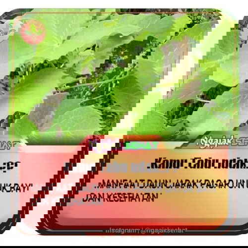 Yg btuh obat untk babyX  yg sedang sakit, sprti bentol2, nanah, gatal dll hub aku nnti aq bgi obatny