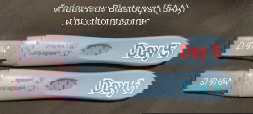 เด็กหลอดแก้ว