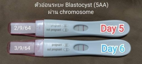 เด็กหลอดแก้ว