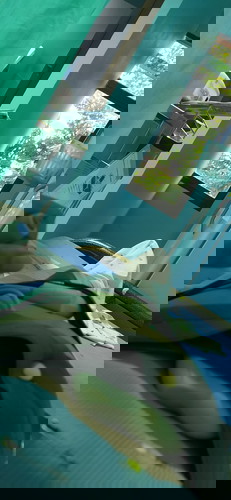 เวลาลูกดิ้นเขาให้กดแช่หรือกดแค่ทีละครั้งคะ