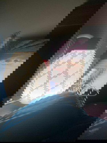 Young living essential oil dan ningxia red