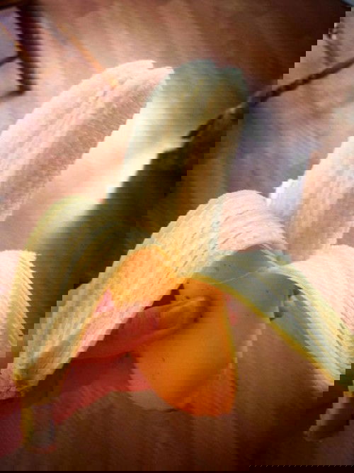 Tìm hiểu cách quan hệ để sinh đôi