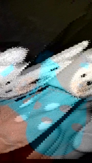 Minta keikhlasan doa dari bundabunda semuanya