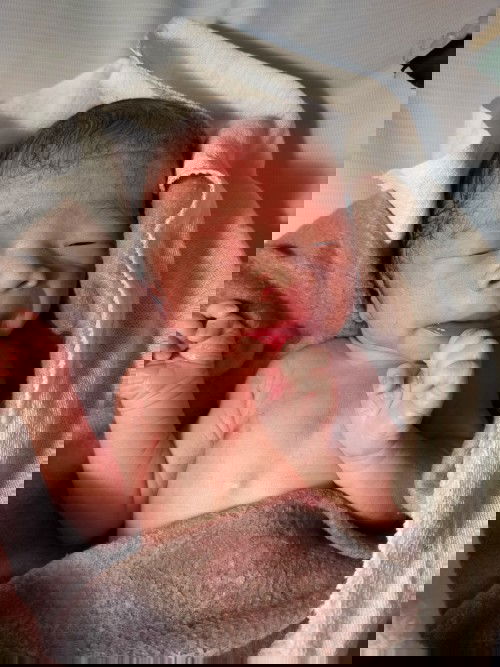 Hi! I am Rhycer Sieghart!