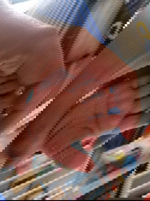 แนะนำหน่อยค่ะ