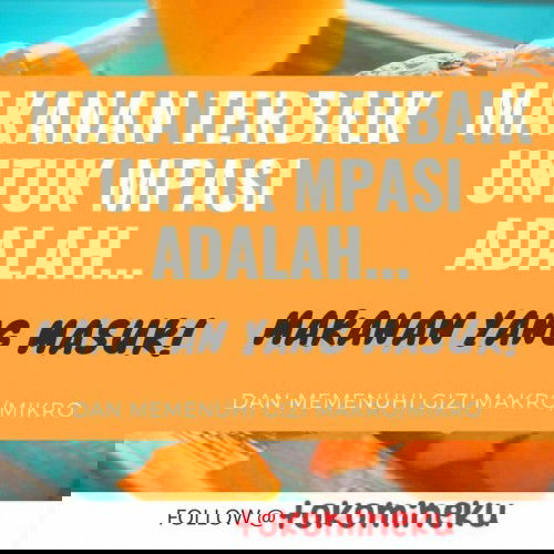 makanan terbaik MPASI