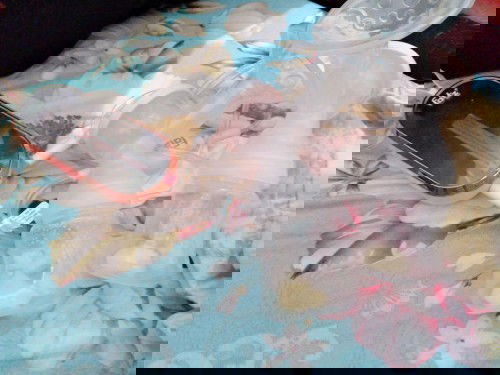 Vắt 30 đk bằng này, ngực vẫn căng nguyên là sao hả các mon ơi buồn hết sức ah