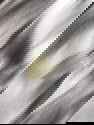 ขอสอบถามค่ะคืออะไรคะ