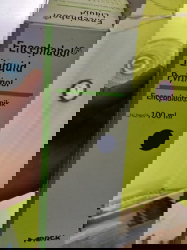 Vitamin otak