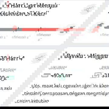 Menunggu Gelombang Cinta