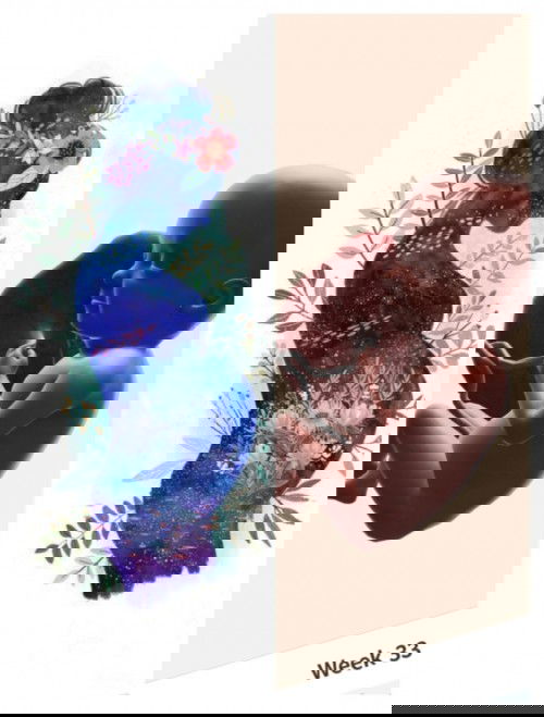 Hamil 33 minggu, 
Persalinan sc berapa minggu ya