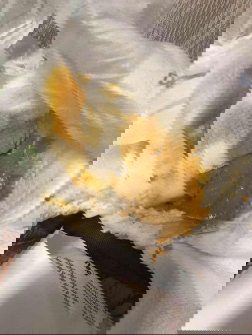 Baby 2 bulan tak berak sampai 10 hari