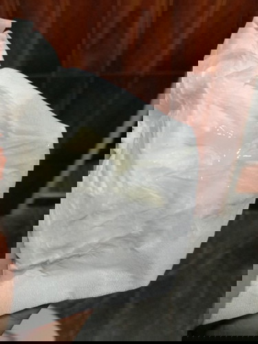 สอบถามแม่ๆหน่อยจ้าแบบนี้คือมูกใสที่เตือนใกล้คลอดหรือป่าวคะท้อง
33w4dกำหนด2พฤศจิกายน.