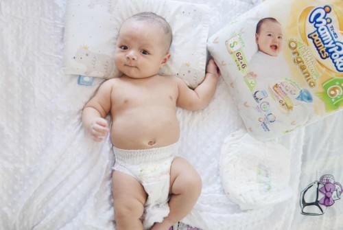 เจ้าเรมี่ vs ผ้าอ้อมสุดโปรด