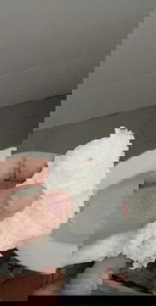 มีเลือดออก