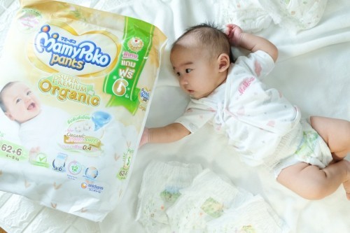 แชร์ประสบการณ์การใช้เแพมเพิส