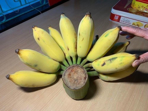 Có thực phẩm giúp bé ngủ ngon nào tốt không các chế ơi