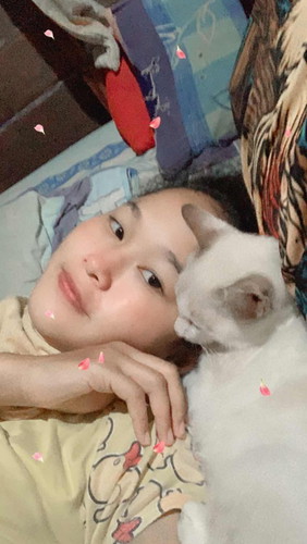 ขนแมวอันตรายกับลูกในครรภ์ไหมค่ะ