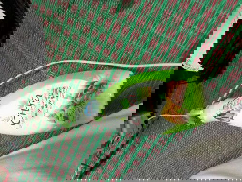 ขอถามหน่อยนะคะคนท้องใช้ครีมciiraได้ไหมคะ  จะมีผลอะไรต่อเด็กไหมคะ