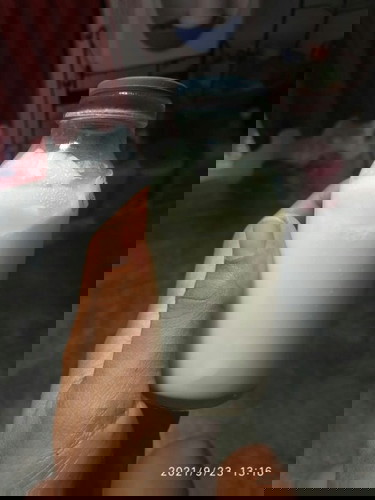 Mengapa ASIP tidak beku di frezer