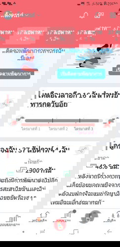 การตั้งครรภ์