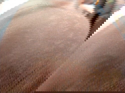 ขอคำแนะนำหน่อยค่ะ