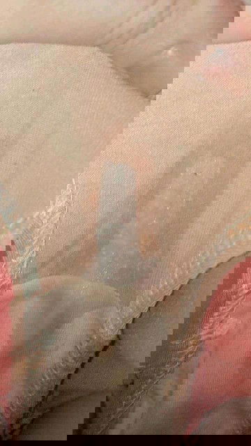 First Time Pregnancy