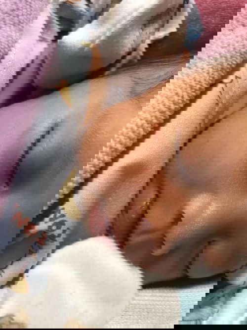 ขอสอบถามหน่อยคะคะ