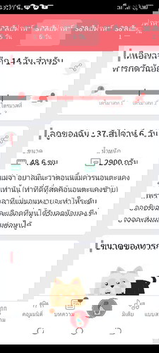 ทีมตุลาคมเป็นยังไงกันบ้าง