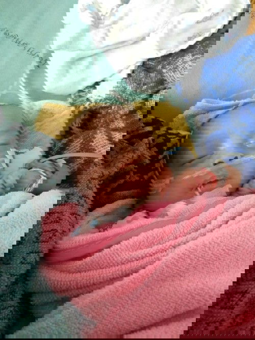 ขอวิธีทำให้น้องถ่ายหน่อยค่ะ ไม่ถ่ายมาจะ2วันแล้วค่ะ