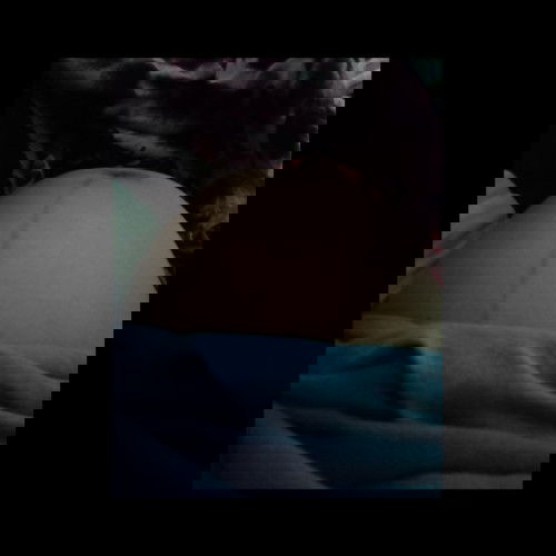 36+2d มีอาการปวดหัวหน่าวงลามปวดจิมิ
มีบ้านไหนเป็นบ้างค่ะ ควรไปหาหมอหรือป่าว