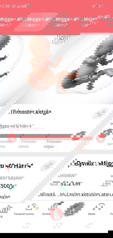 Perkiraan induksi hari Rabu