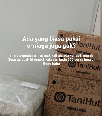 Ada yang sering belanja sayur online gak ya? Share pengalamannya yuk mak
