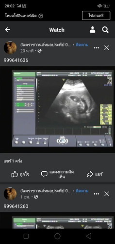 สุดที่รักของฉัน